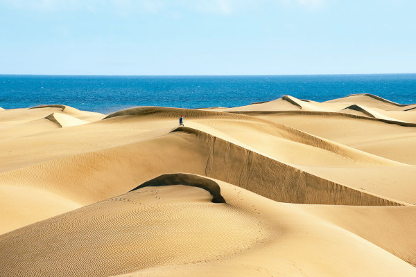 OASIS GUARDAMAR 10